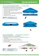katalog-2026-seite38-1.jpg